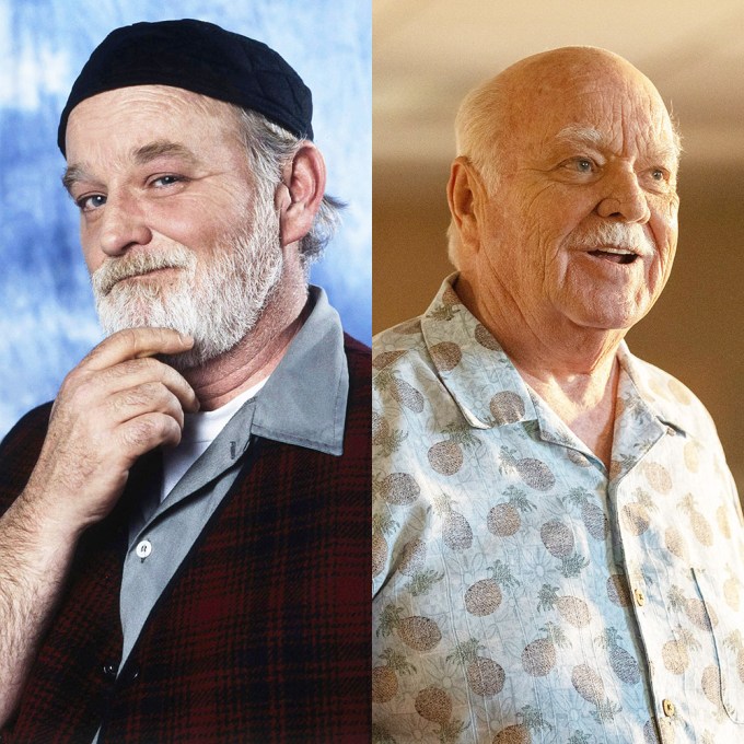 Brian Doyle-Murray