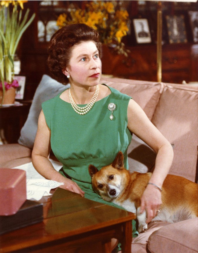 Queen Elizabeth II With Her Corgi