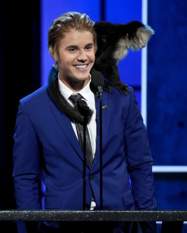 A monkey rests on Justin Bieber's shoulder as he speaks at the Comedy Central Roast of Justin Bieber at Sony Pictures Studios, in Culver City, Calif
APTOPIX Comedy Central Roast Of Justin Bieber - Show, Culver City, USA - 14 Mar 2015