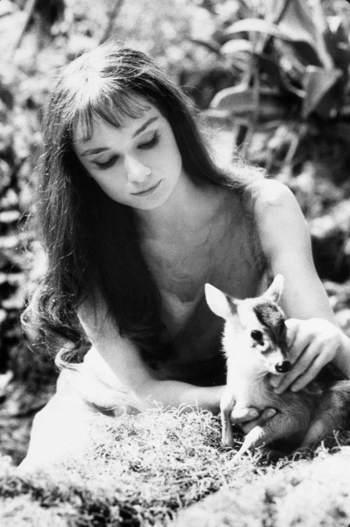 Audrey Hepburn & Her Fawn