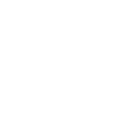hlicon_WHITE100
