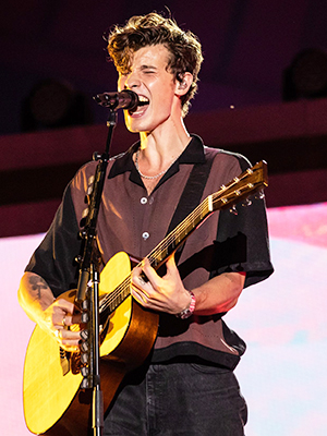 shawn mendes