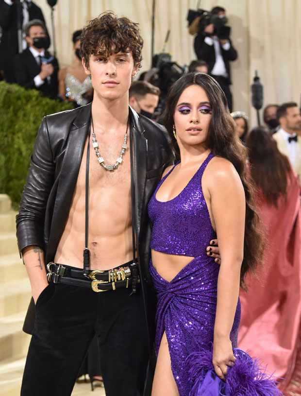 Camila Cabello, Shawn Mendes
