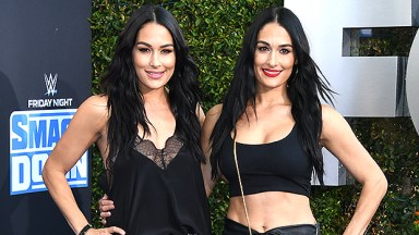 nikki brie bella