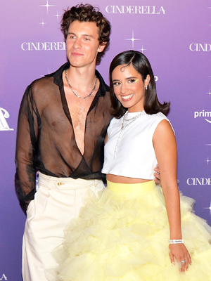 Shawn Mendes, Camila Cabello