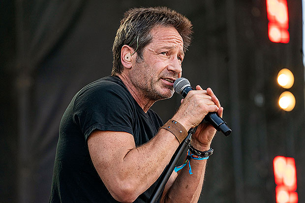 David Duchovny 