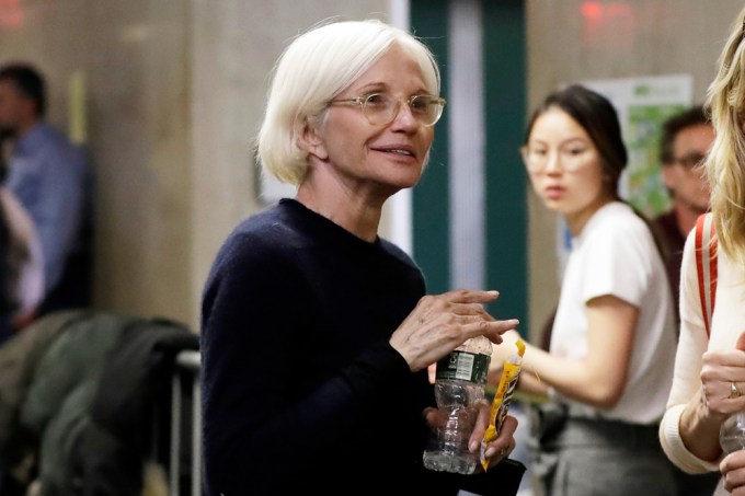 Ellen Barkin In 2020