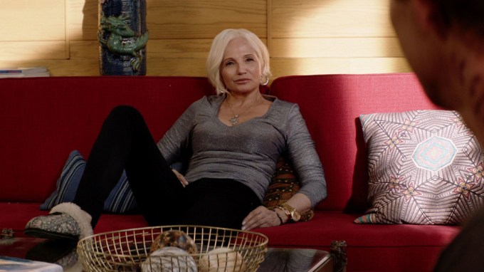 ‘Animal Kingdom’