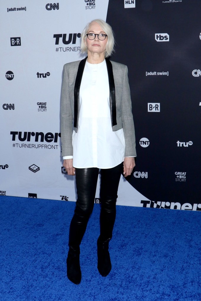 Ellen Barkin In 2018