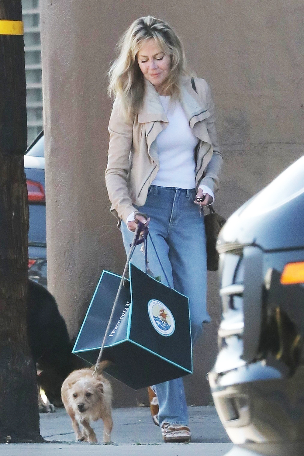West Hollywood, CA  - *EXCLUSIVE* Melanie Griffith was spotted picking up lunch to go with her dog from Petrossian Restaurant & Boutique in West Hollywood.Pictured: Melanie GriffithBACKGRID USA 19 DECEMBER 2022 BYLINE MUST READ: PrimePix / BACKGRIDUSA: +1 310 798 9111 / usasales@backgrid.comUK: +44 208 344 2007 / uksales@backgrid.com*UK Clients - Pictures Containing ChildrenPlease Pixelate Face Prior To Publication*