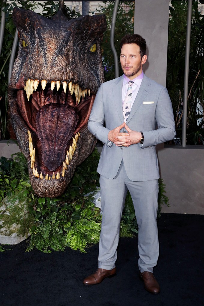 Chris Pratt At The LA Premiere