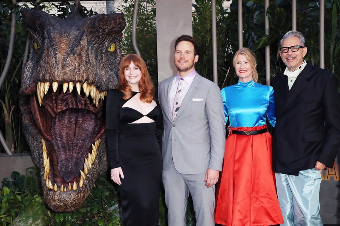 The Cast At The LA Premiere