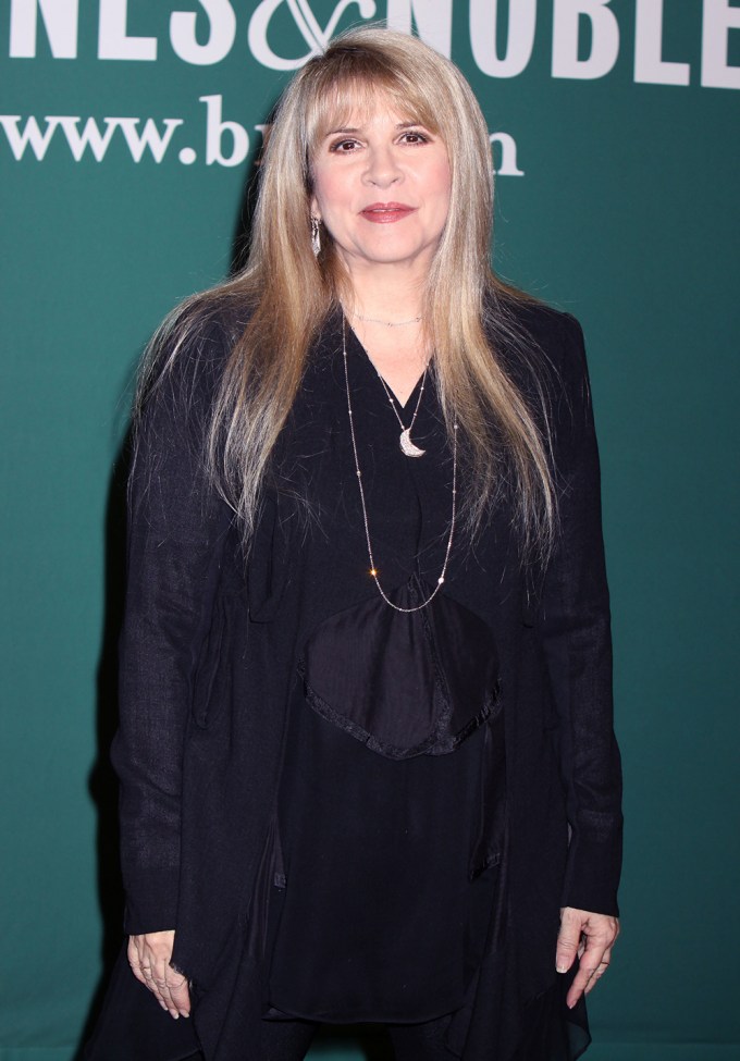 Stevie Nicks In 2009