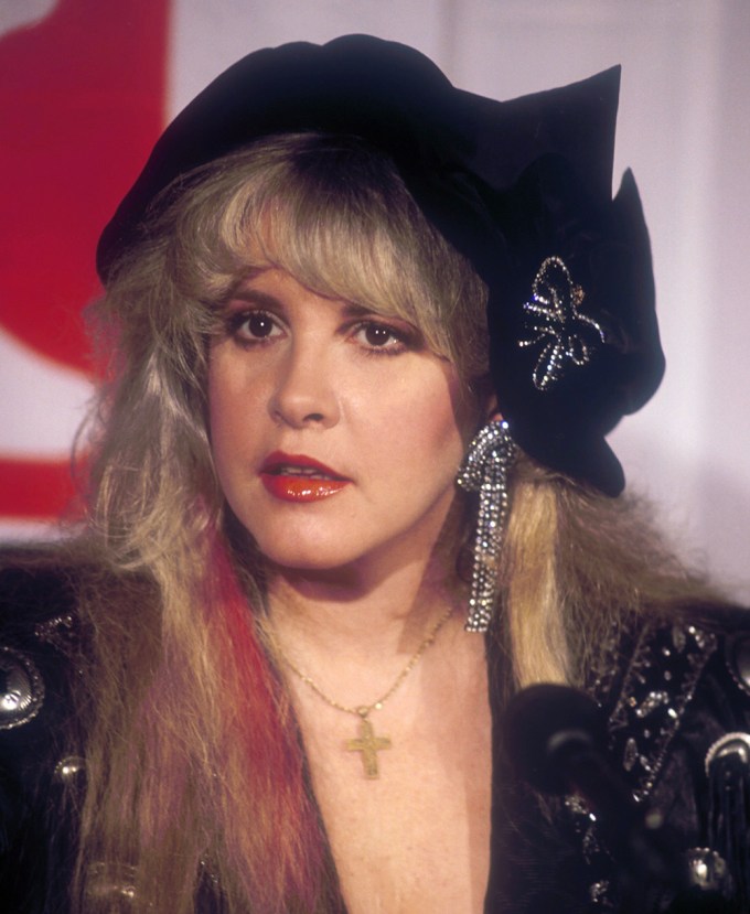 Stevie Nicks In 1989