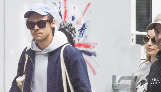 harry styles olivia wilde