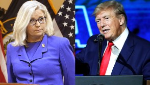 liz cheney, donald trump