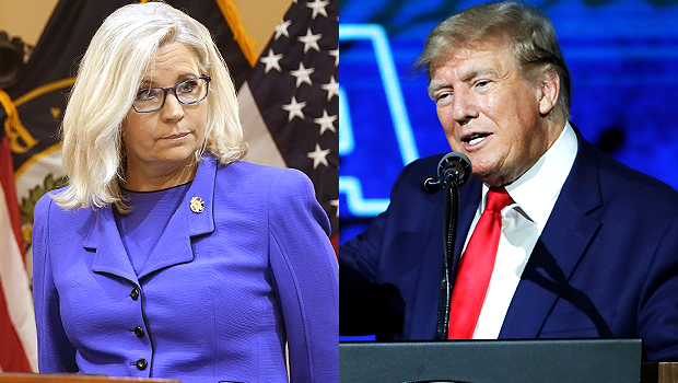 liz cheney, donald trump