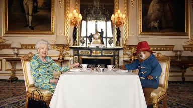 Queen Elizabeth Paddington Bear Sketch