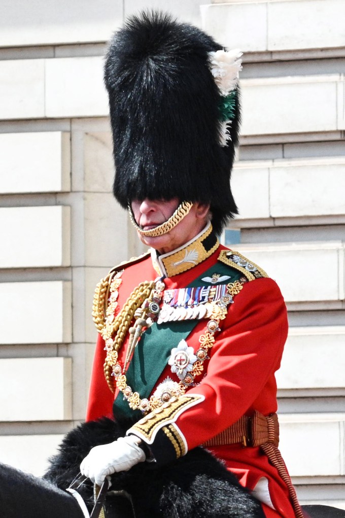 Prince Charles Attends Trooping the Colour