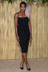 Venus Williams
The Serpentine Gallery Summer Party, London, UK - 27 Jun 2023