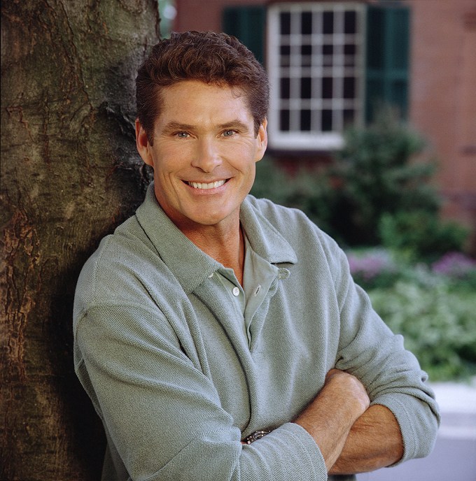 David Hasselhoff In 2000