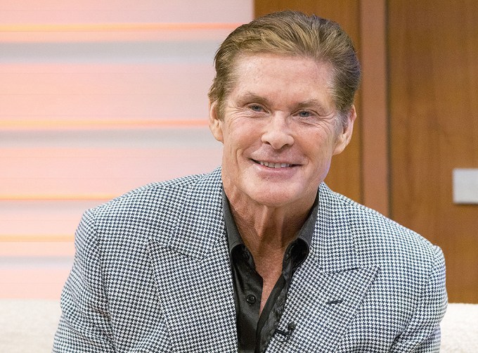 David Hasselhoff In 2015