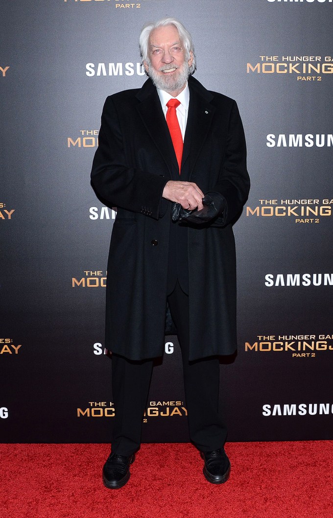 ‘The Hunger Games: Mockingjay Part 2’ (2015)