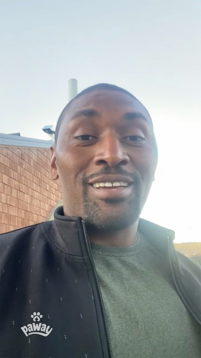 Metta World Peace