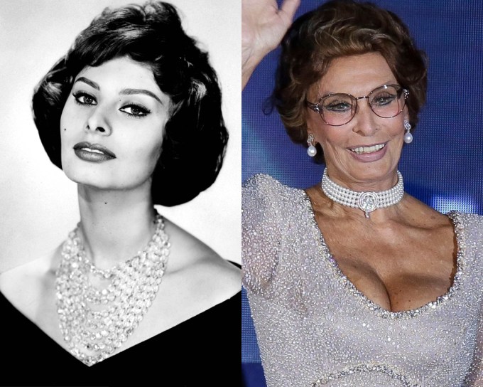 Sofia Loren