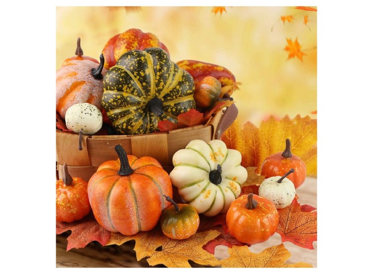 Fall Decor reviews