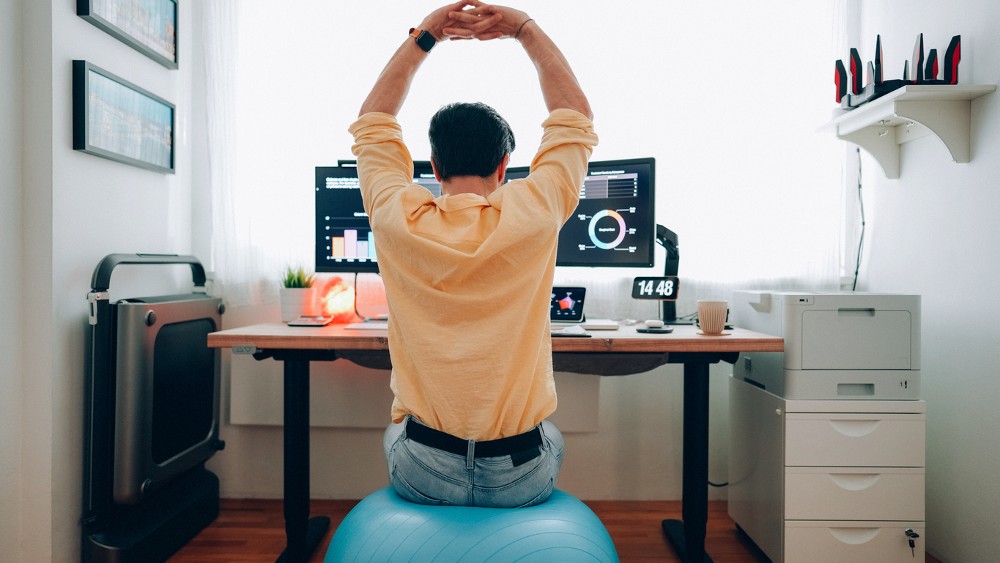 Highly rated exercise ball chairs