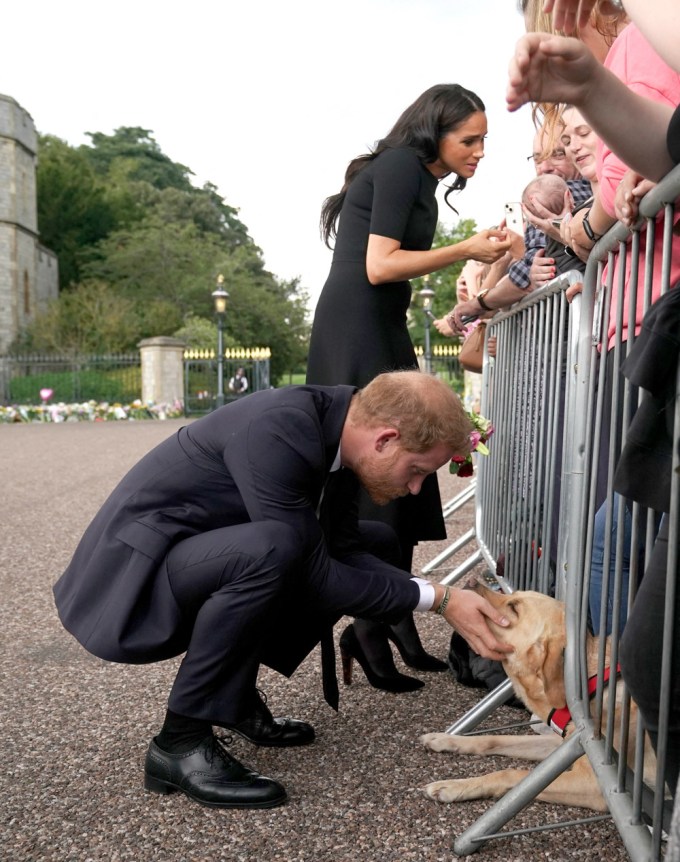 Prince Harry & Meghan Markle talk to well wishers