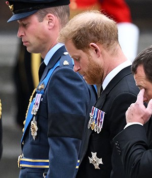 Prince William, Prince Harry