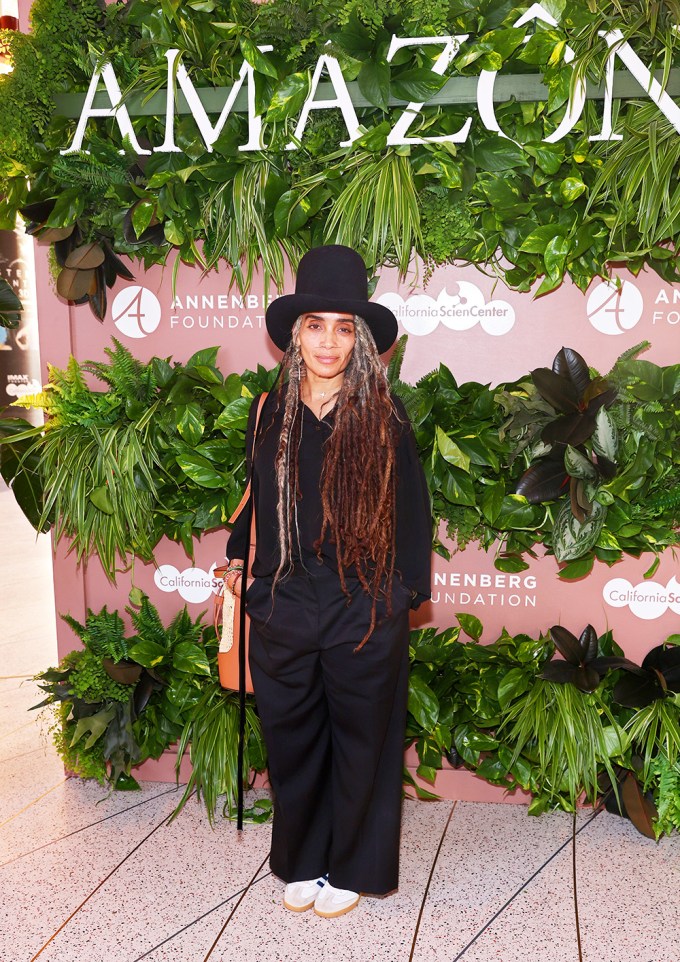 Lisa Bonet