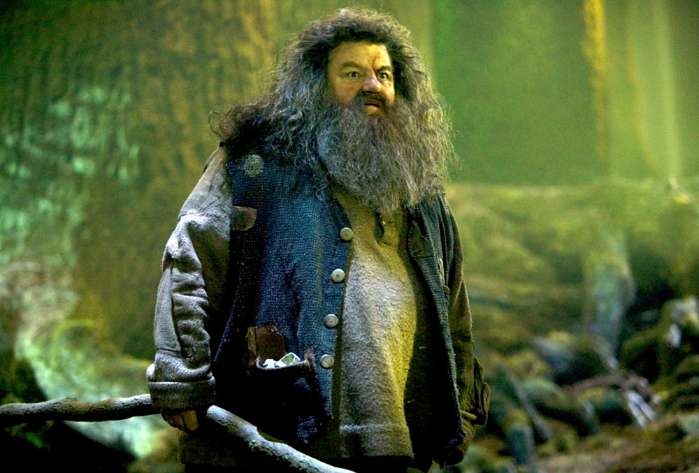 HARRY POTTER AND THE ORDER OF THE PHOENIX, Robbie Coltrane, 2007. Ph: Murray Close/©Warner Bros./Cou