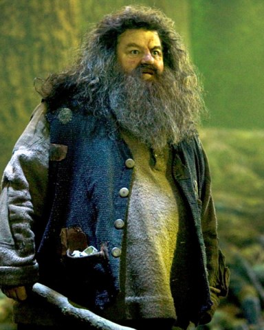 HARRY POTTER AND THE ORDER OF THE PHOENIX, Robbie Coltrane, 2007. Ph: Murray Close/©Warner Bros./Courtesy Everett Collection