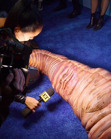 Heidi Klum
Heidi Klum's 21st Annual Halloween Party presented by Now Screaming x Prime Video and Baileys Irish Cream Liqueur at Sake No Hana at Moxy Lower East Side, New York, USA - 31 Oct 2022