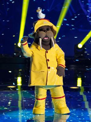 The Masked Singer