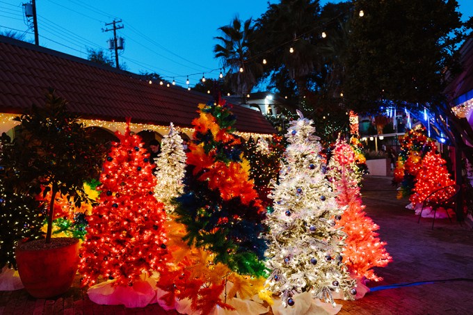 WINTER WANDERLAND AT AUSTIN MOTEL