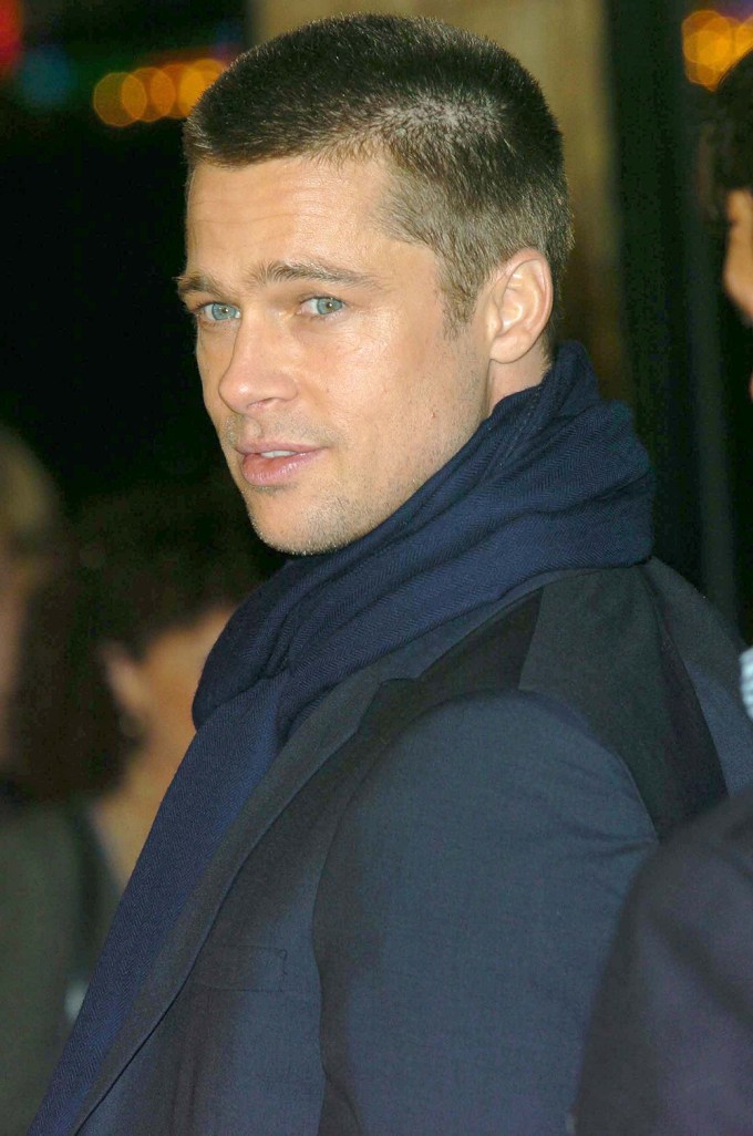 Brad Pitt in 2004