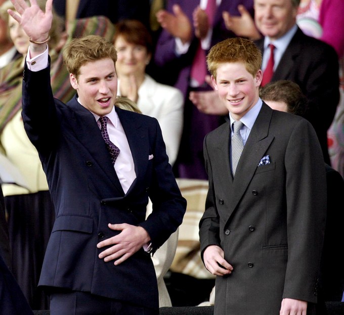 Prince Harry & Prince William in 2002