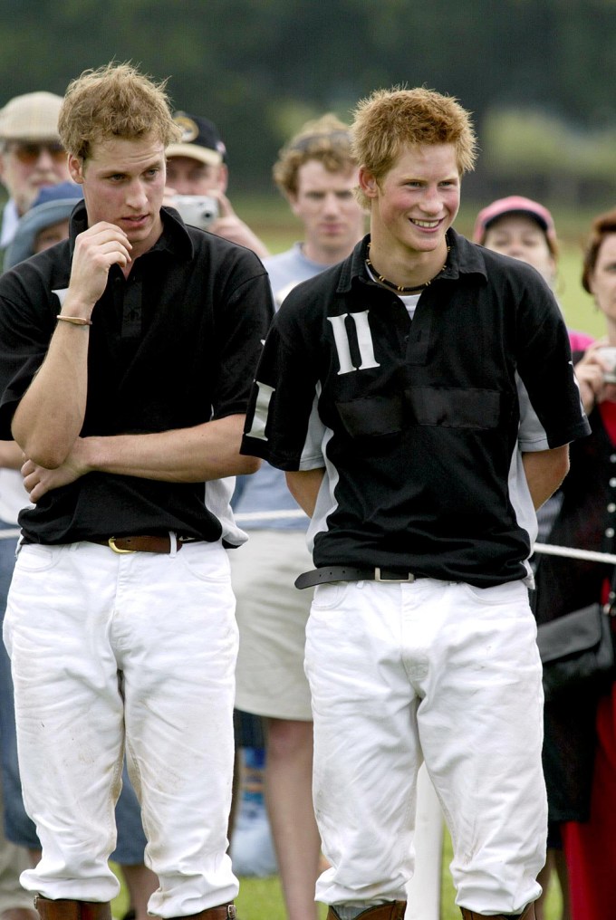 Prince Harry & Prince William in 2003