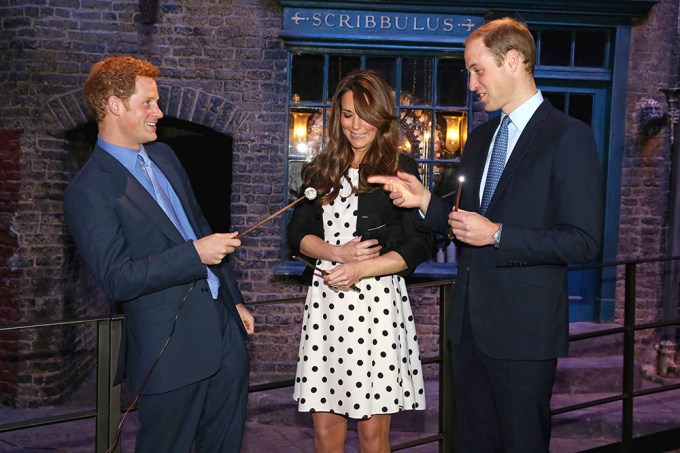 Prince Harry, Prince William & Kate in 2013