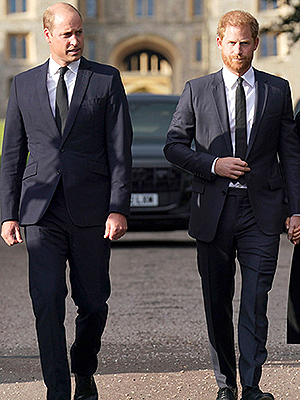 prince harry prince willliam