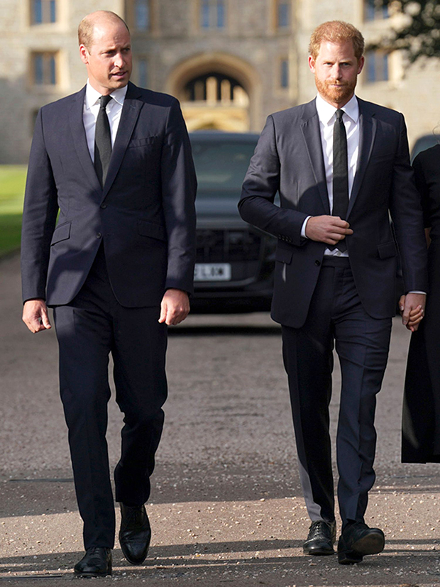 prince harry prince william