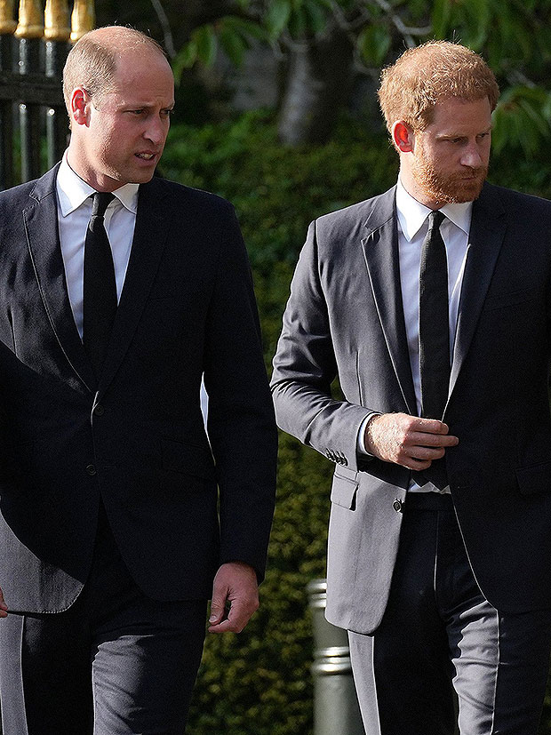 Prince William, Prince Harry