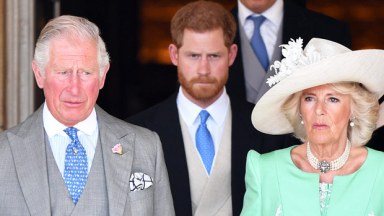 Prince harry king charles camilla