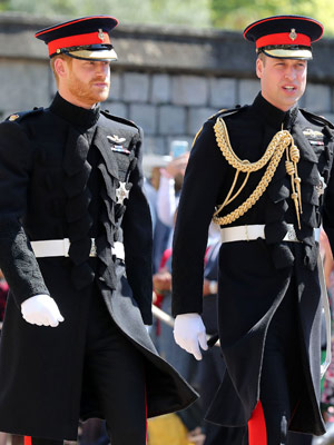 prince harry prince william