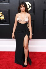 Camila Cabello
65th Annual Grammy Awards, Arrivals, Fashion Highlights, Los Angeles, USA - 05 Feb 2023