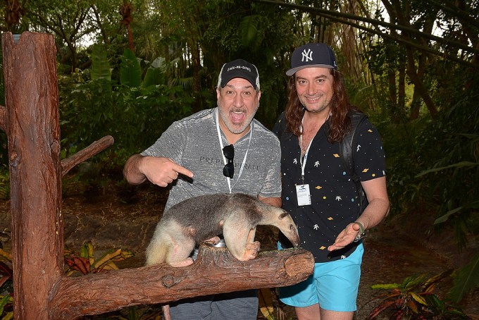 Joey Fatone